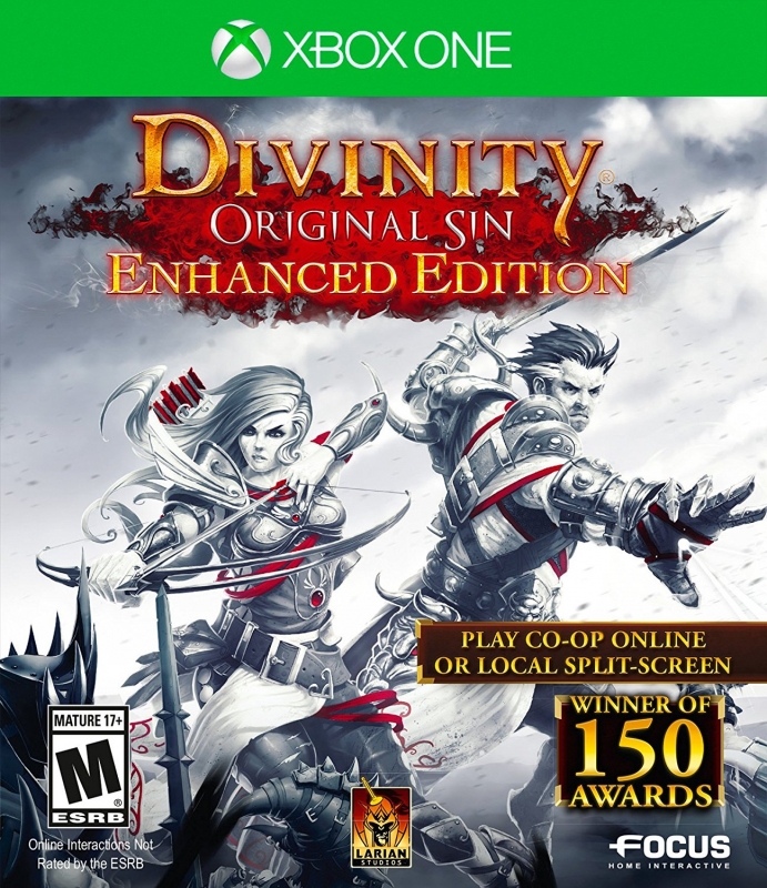 Divinity: Original Sin
