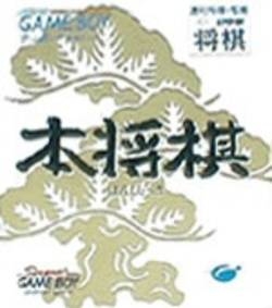 Hon Shogi