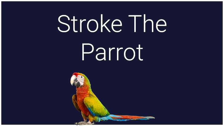 Stroke the Parrot