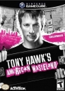 Tony Hawk's American Wasteland