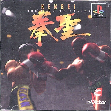 Victory Boxing Champion Edition